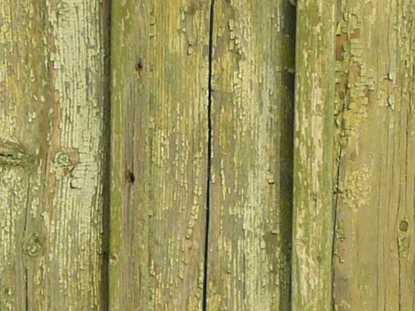 Aged splintering planks with fading light green paint.